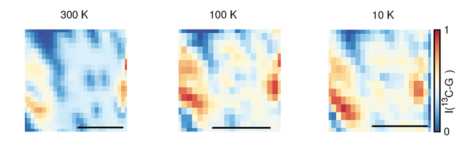 Addressing Strain and Doping by Cryogenic Raman Mapping attoRAMAN