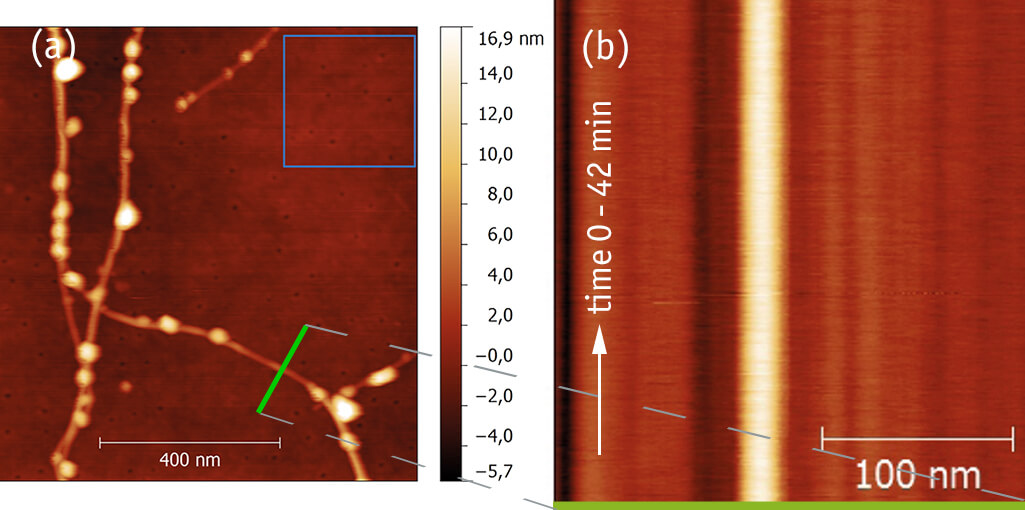 Ultimate Thermal Stability and Ultra Low Drift CSFM