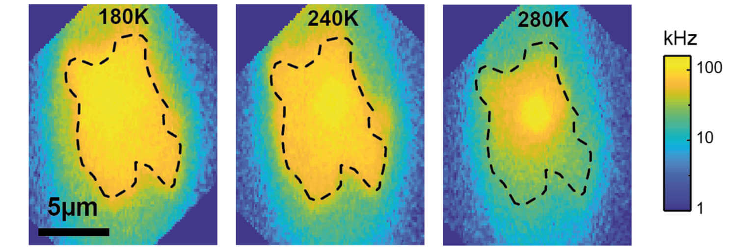 Charge Carrier Mobility in Perovskite thin films optical cryostat attoDRY800