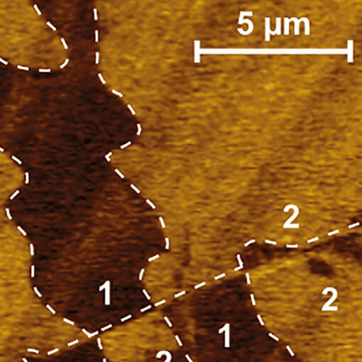 Ferroelectric Domain at Cryogenic Phase Transitions cryogenic atomic force microscope attoAFM