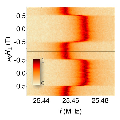 Harnessing the emergent potential of CrI3 flakes attoDRY1000