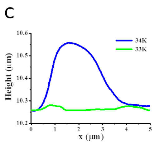 Isolating Hydrogen Gas inside H BN Bubbles attoAFM I  attoDRY2100