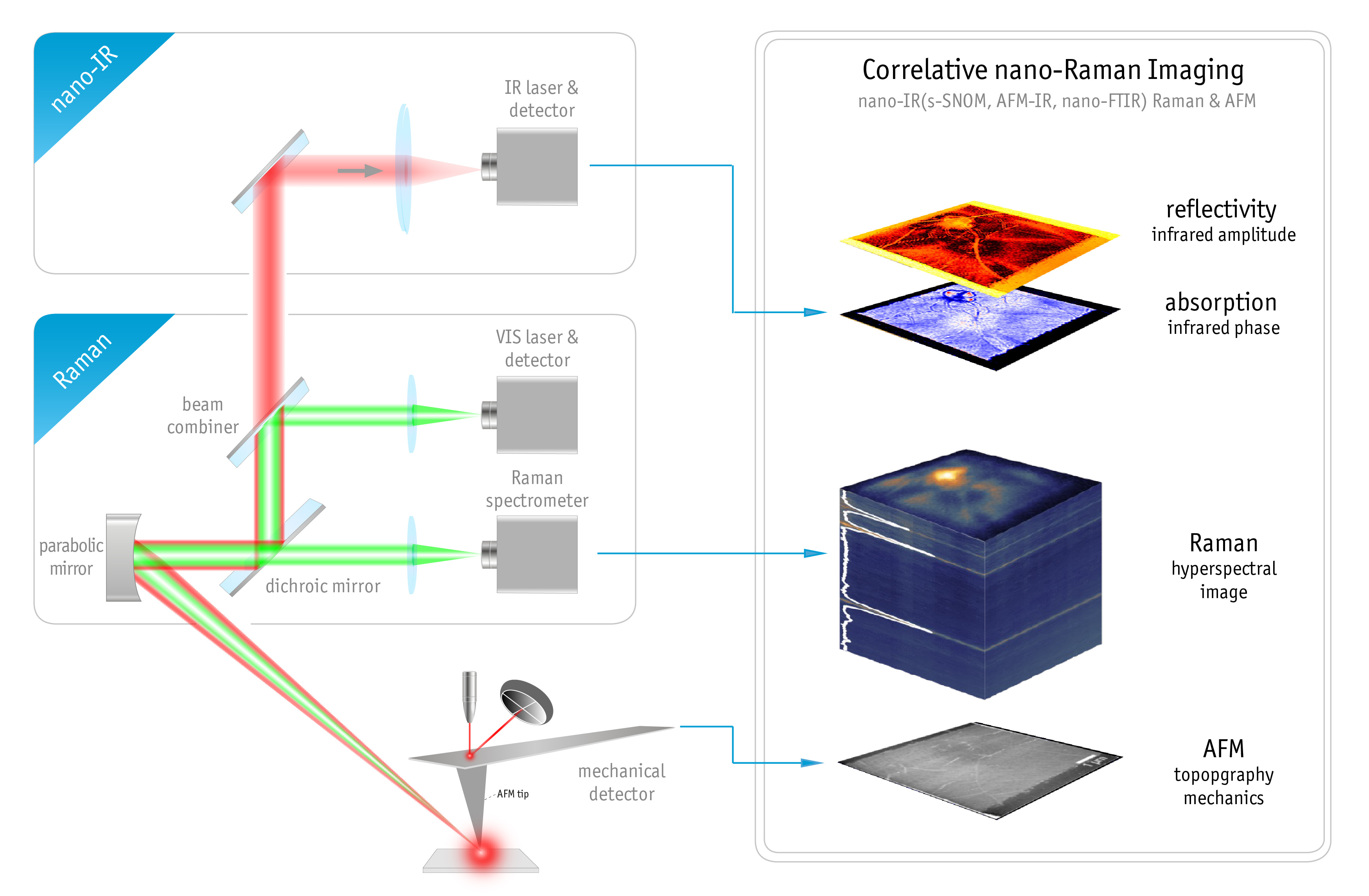 AFM-Raman-schematics-3D.jpg