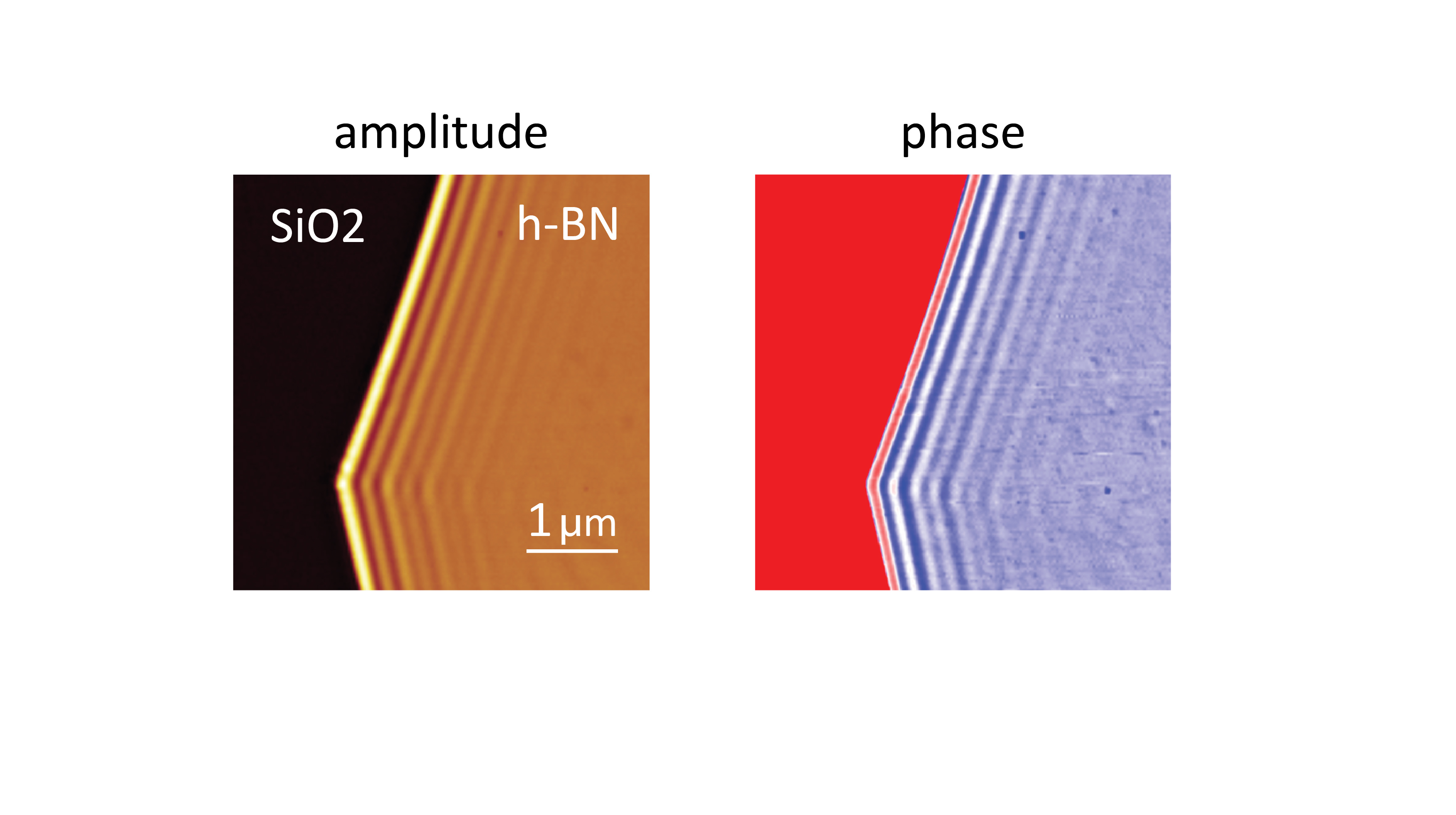 Cryogenic_amplitude_phase_resolved_polariton_mapping.jpg