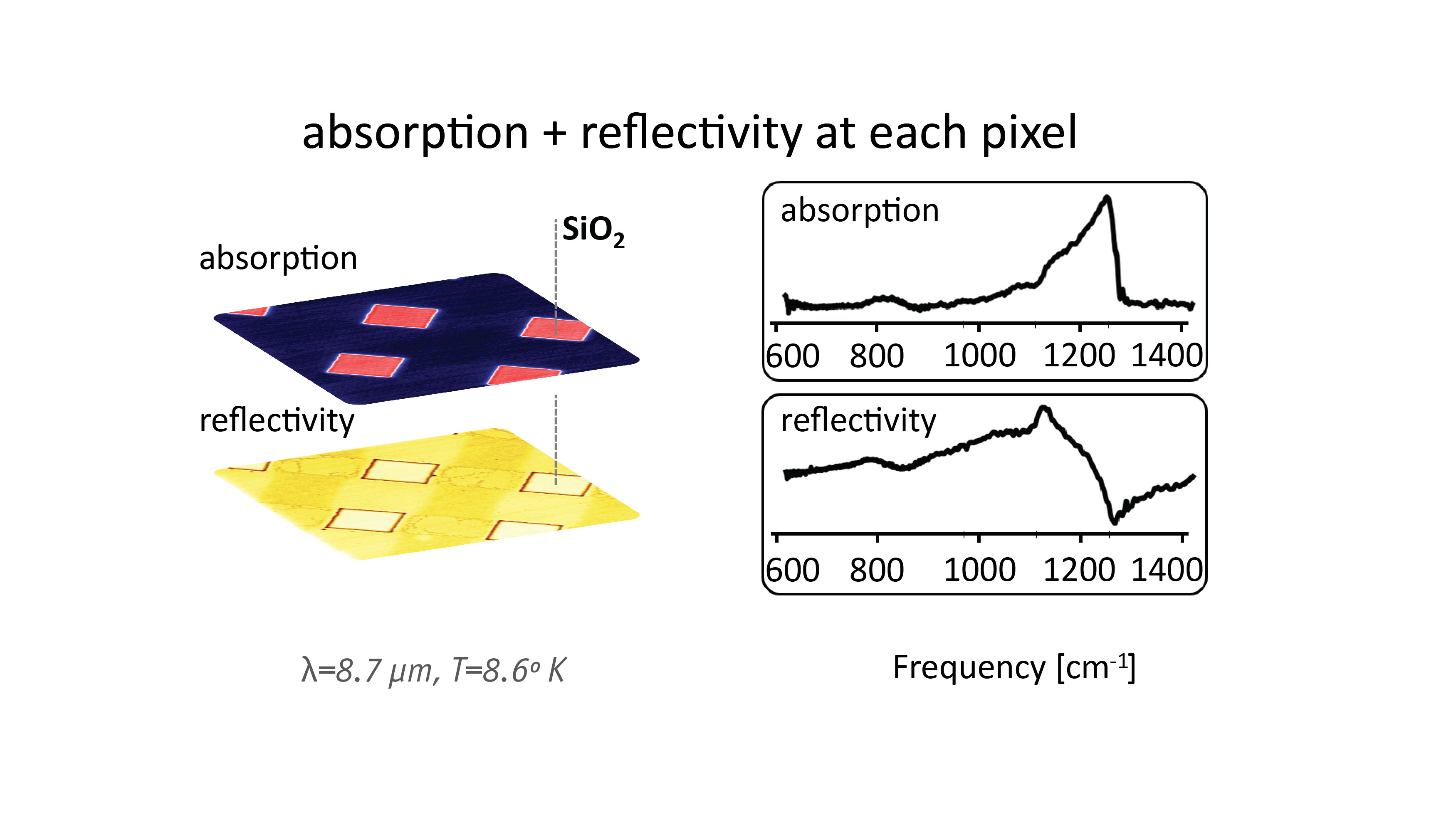 Cryogenic_simultaneous_absorption_reflectivity_imaging.jpg