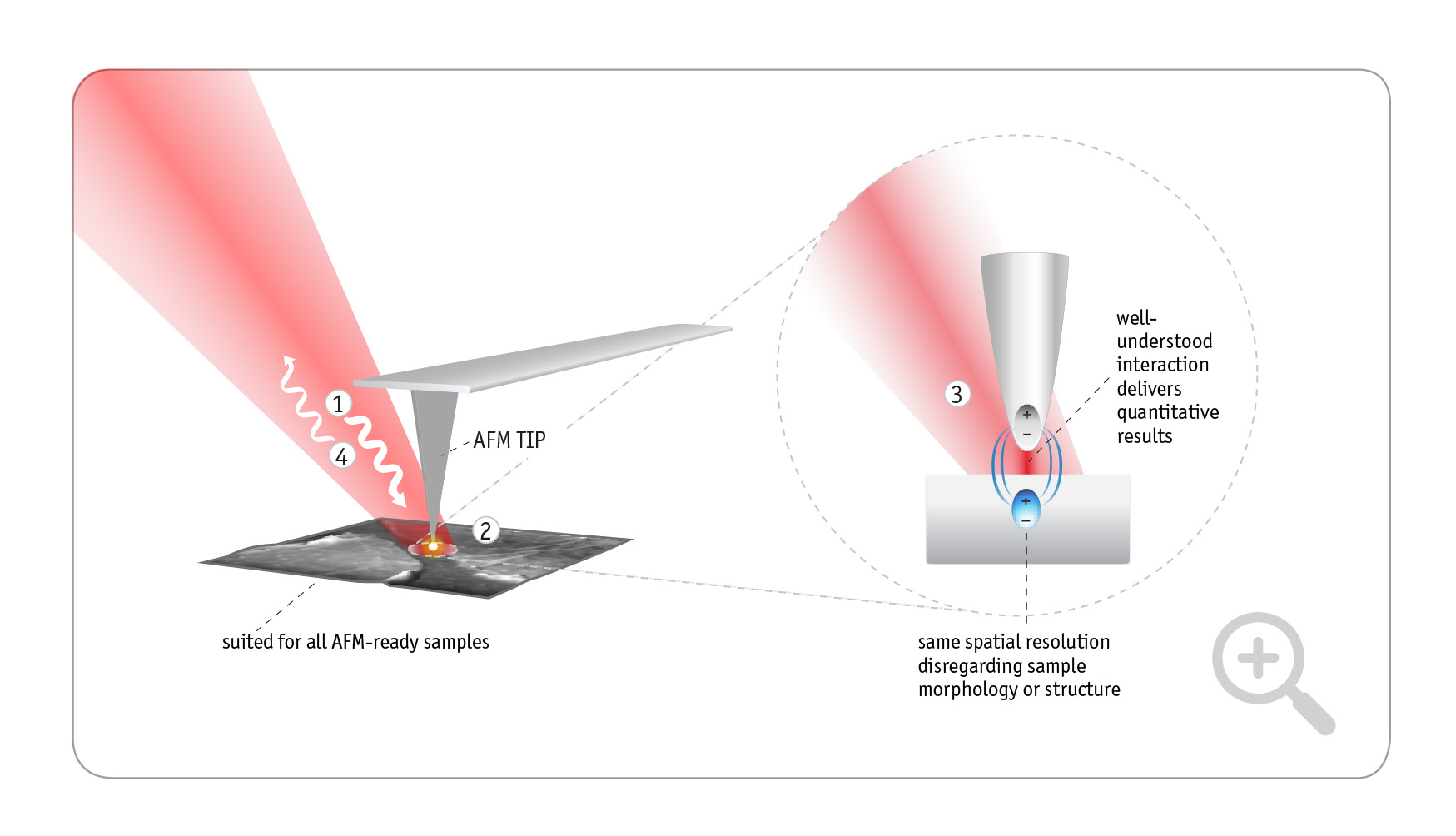nano-FTIR-Zusatz-Grafik-zoom-2023.jpg