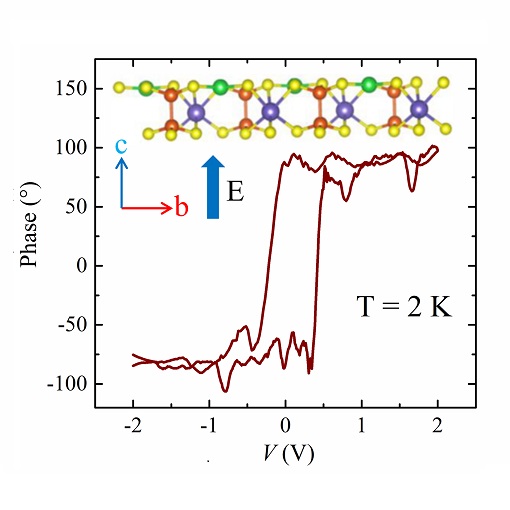 A van der Waals multiferroic attoAFM I + attoPFM + attoDRY2100
