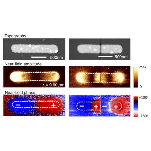 Analyzing Optical nano Antennas VIS neaSCOPE+s