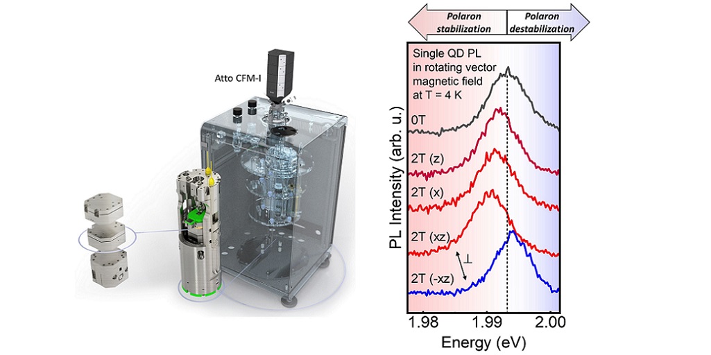 Anisotropic formation of exciton magnetic polarons in colloidal quantum dot attoCFM I in attoDRY1000