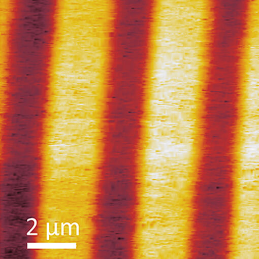 attoAFM CFM in Toploading Insert attoAFM CFM oder CSFM  mK