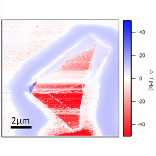 Beyond Ising and Heisenberg attoDRY1000  attoAFM I