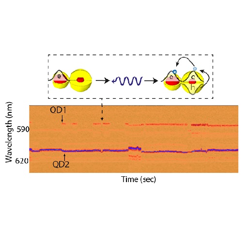 Bright Dates: Coupling Single Colloidal Quantum Dots attoDRY800  LT APO
