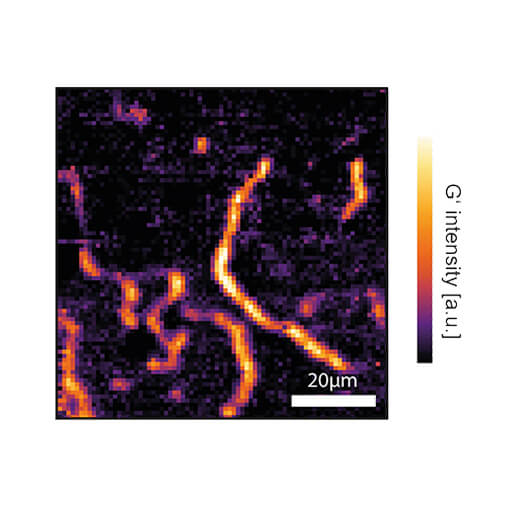 Cavity Enhanced Raman Microscopy ambient or vacuum positioner  ECSx3030