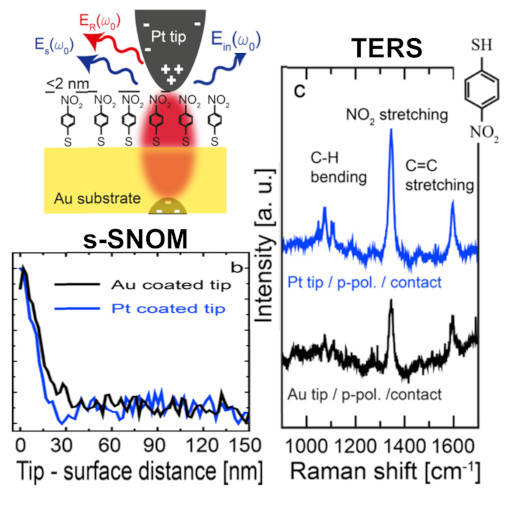 Combined TERS and s SNOM IR neaSCOPE+TERs