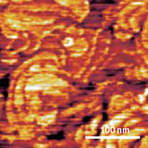 Conductive Tip AFM Measurements on Ruthenium ct   cryogenic atomic force microscope attoAFM