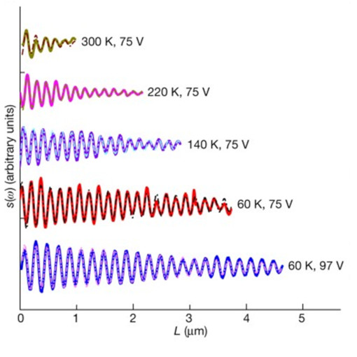 Cryogenic boost to graphene plasmonics cryo neaSCOPE+xs