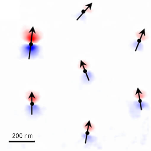 Dynamic Visualization of Nanoscale Vortex Motion using attoSTM in an attoLiquid3000 made with AFM STM for mK application