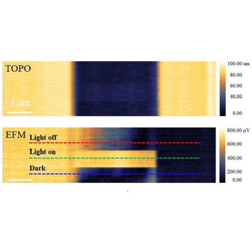 Elucidated behavior of a ferroelectric semiconductor phototransistor attoAFM I + KPFM upgrade + PFM upgrade + attoDRY2100