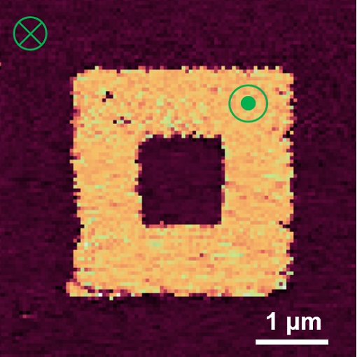 Emergent magnetoelectric phase transition attoAFM I + PFM upgrade + attoDRY1000