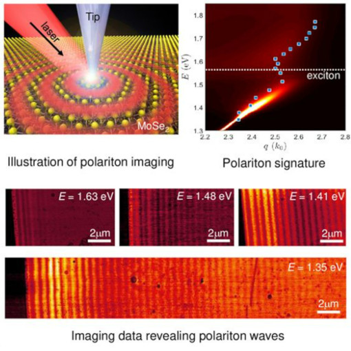 Exciton Polaritons Propagation VIS neaSCOPE+s