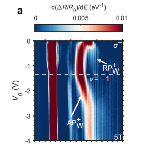 Exciton polarons optical fingerprint in moiré superlattice attoDRY1000