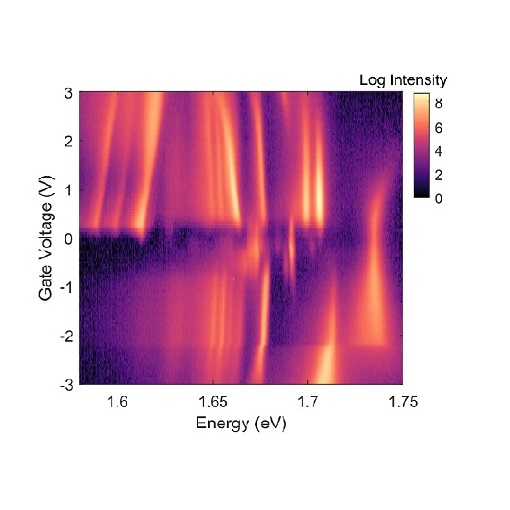 Excitons in TMD for valleytronics attoCFM I  attoDRY2100