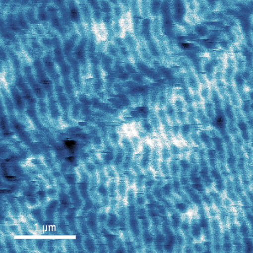 Helimagnetic Phase of FeCo0.5Si0.5 cryogenic atomic force microscope attoAFM for MFM