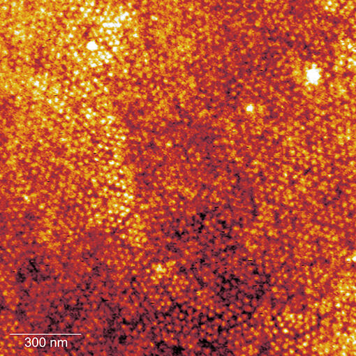 HF SPM using attocube nano positioners in magnetic fields above 30 T cryogenic nanopositioner  ANPz30