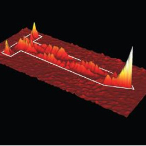 Infrared nanofocusing on transmission lines IR neaSCOPE+s