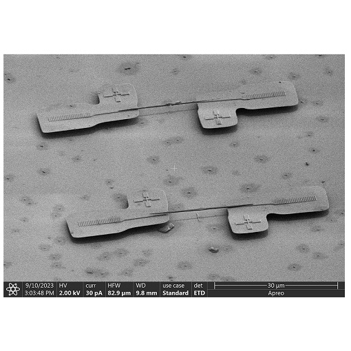 Integration of diamond nanobeams with SiV centers ANPx101 RES LT HV  ANPz101 RES LT HV