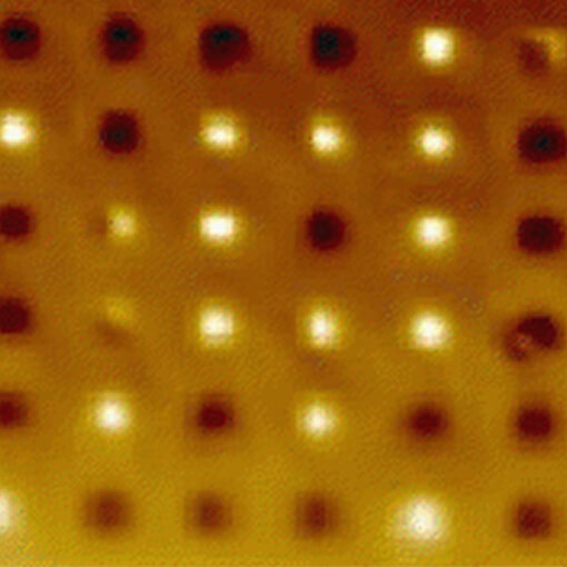 Low temperature magnetization reversal properties of SrRuO3 made with the low temperature atomic force microscope