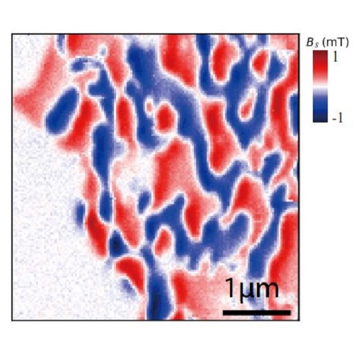 Magnetic imaging by quantum sensor attoLIQUID1000  attoAFM CFM  LT APO