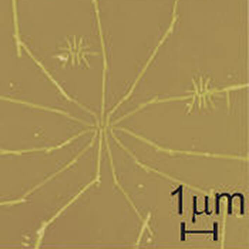 Mapping and Manipulation of Leakage Currents in a Nanostructure made with cryogenic positioners