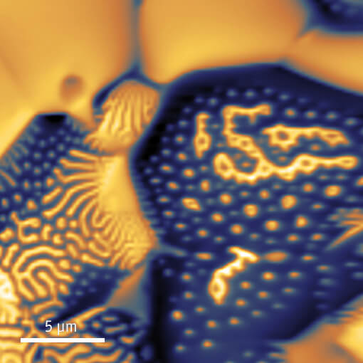 MFM for Optimization of Sintered Magnets atomic force microscope attoAFM for MFM