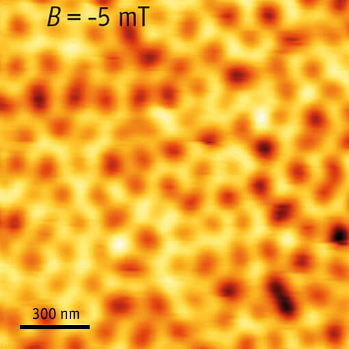MFM imaging of a Skyrmion lattice made with attoDRY1000 and low temperature atomic force microscope