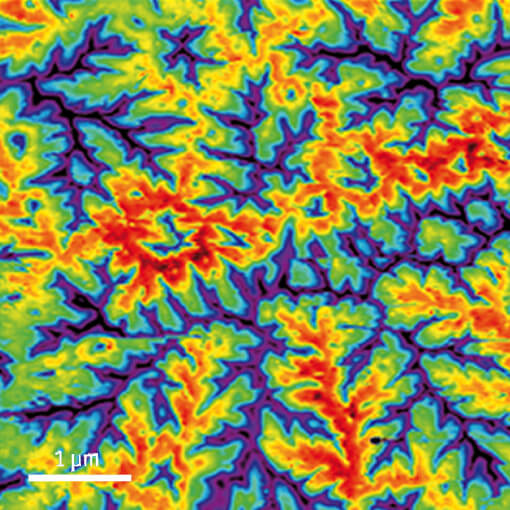 MFM on Co Doped Mn2Sb Single Crystal cryogenic atomic force microscope attoAFM for MFM