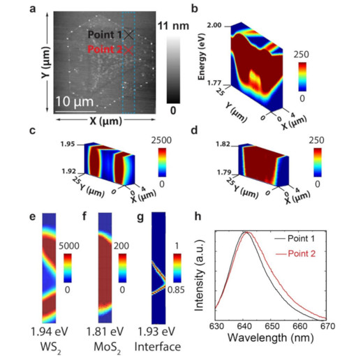 Nano Interface 2D Alloys IR neaSCOPE+TERs