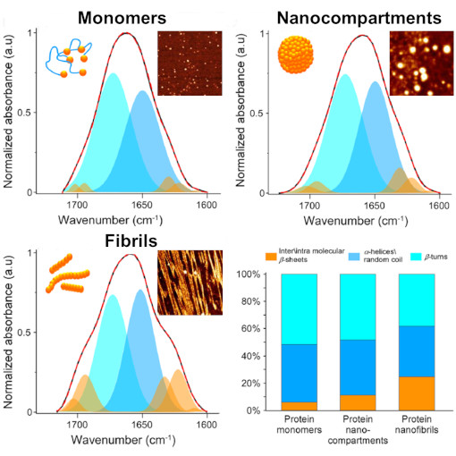 Nano to Micro Silk Fiber Morphing IR neaSCOPE+s