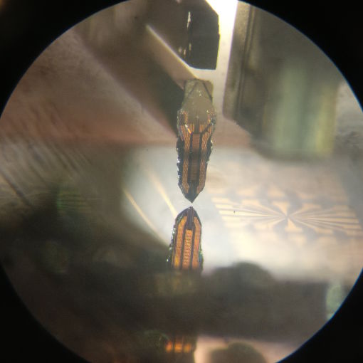 Near Field Scanning Microwave Microscope at 30mK ANPxyz100  ANPz51 for mK