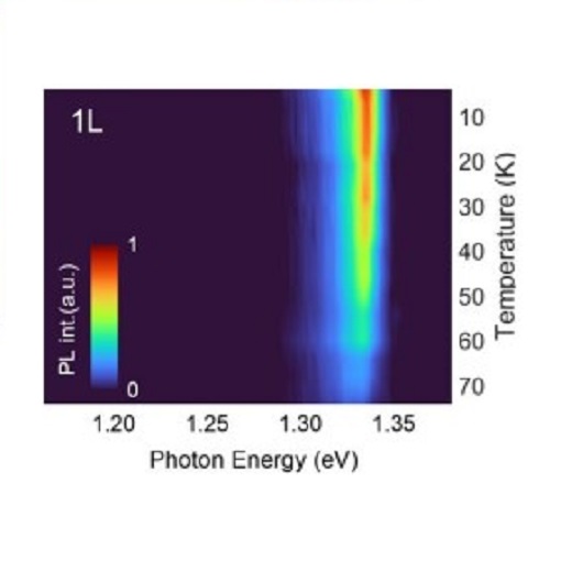 Optically disclosed magnetic ordering attoDRY1000