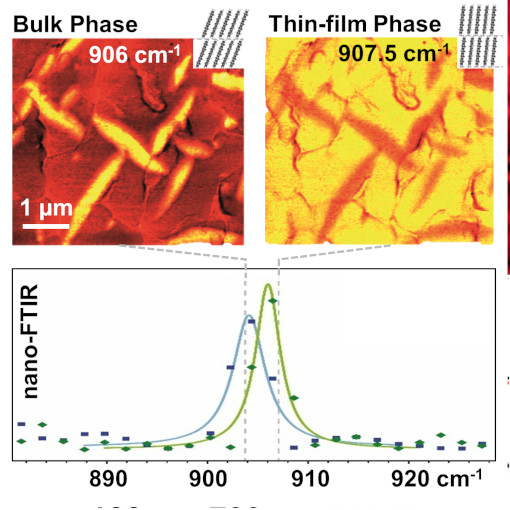 Organic Semiconductors IR neaSCOPE+s