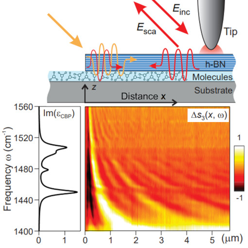 Phonon Polaritons & Organic Molecules IR neaSCOPE+s