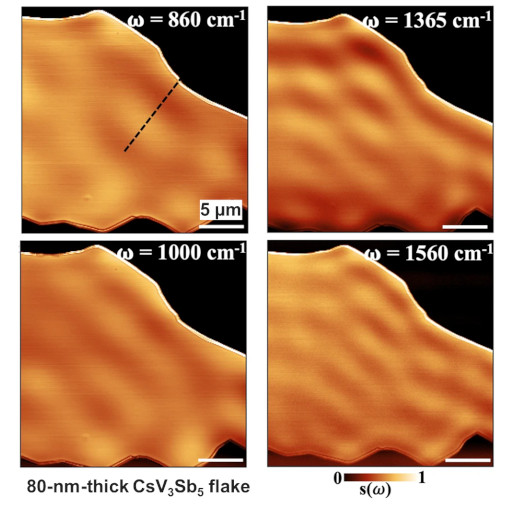 Plasmons in Kagome Metals IR neaSCOPE+s
