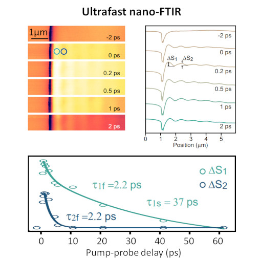 Plasmons Revolutionize Optoelectronics IR neaSCOPE+fs