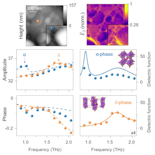 Printed Flexible Electronics THz neaSCOPE+s