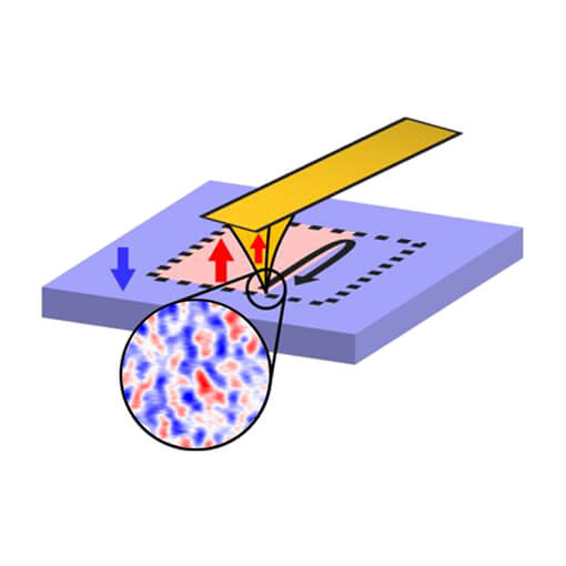 Quantized Conduction on Domain Walls of a Magnetic Topological Insulator attoLIQUID3000  attoAFM