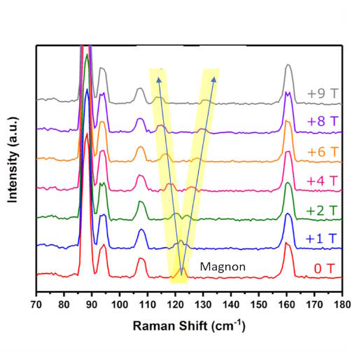 Quasi 2D Magnon identified via Magneto Raman Spectroscopy attoDRY1000  attoCFM