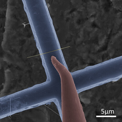 Sample Nanomanipulation of 1 D Nanostructures made with Ambient or Vacuum Positioner  ECSx3030