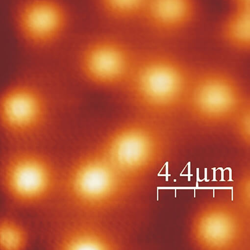 Scanning Hall Probe Microscopy at 300 mK with ANP positioners made with mK Nanopositioners