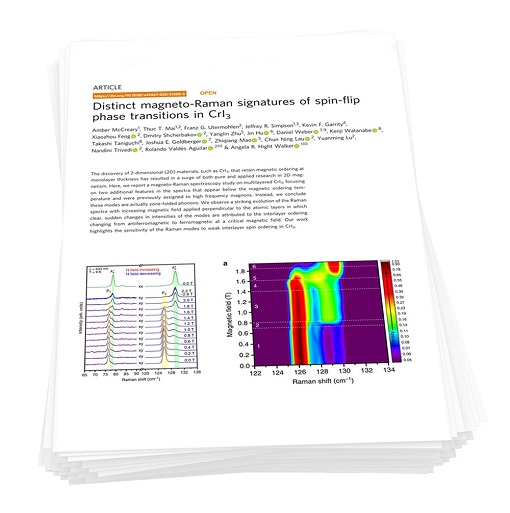 Spin Flip Phase Transitions in Multi Layered CrI3 attoDRY1000